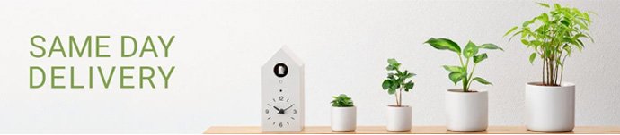 Best plants shop in Qatar