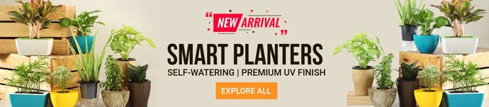 Best plants shop in Qatar