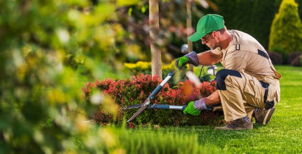Landscaping Services in Qatar