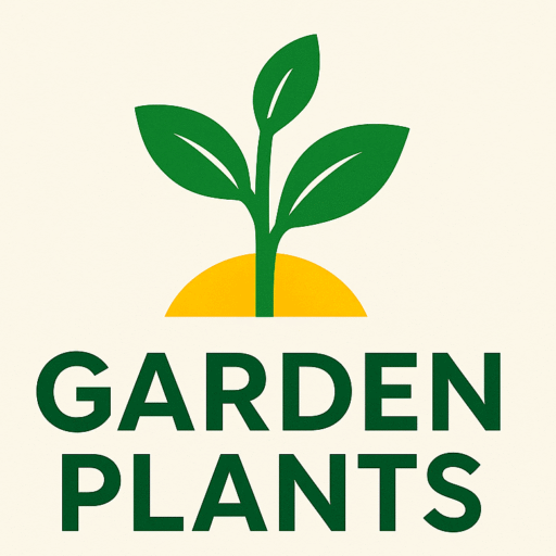 Garden Plants in Qatar