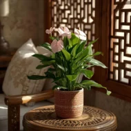Anthurium Pink houseplant featuring glossy green leaves and soft pink flowers suitable for indoor environments in Qatar