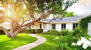 Expert Tree Cutting & Pruning Services in Qatar