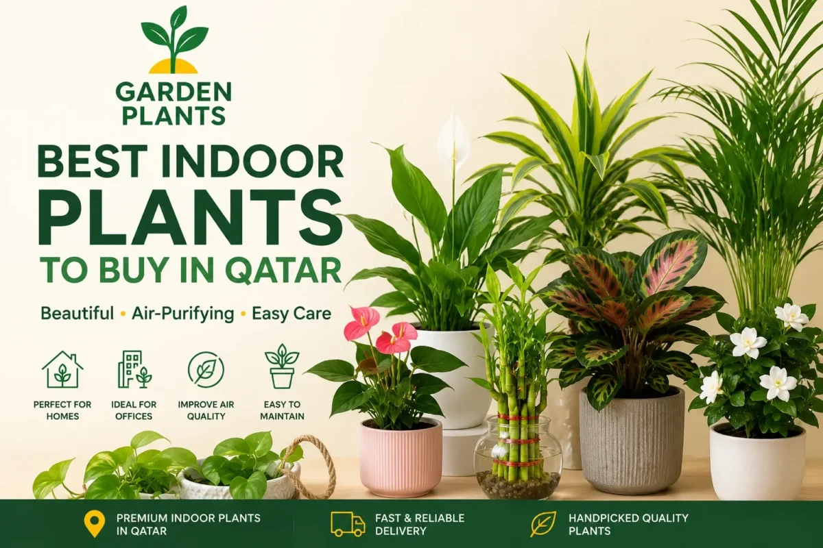 Best indoor plants in Qatar, including Peace Lily, Bamboo Palm, Anthurium, and Dracaena, displayed with the Garden Plants Qatar logo