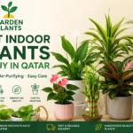 Best indoor plants in Qatar, including Peace Lily, Bamboo Palm, Anthurium, and Dracaena, displayed with the Garden Plants Qatar logo