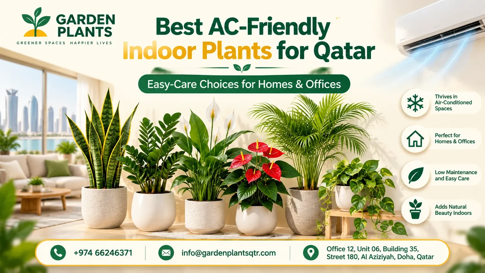 Best AC-Friendly Indoor Plants for Qatar: Easy-Care Choices for Homes & Offices