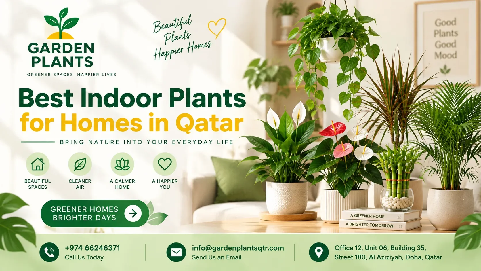 Best Indoor Plants for Homes in Qatar 2026