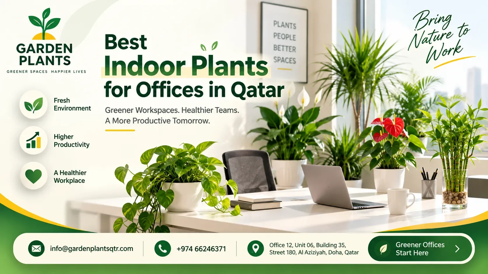 Best Indoor Plants for Offices in Qatar