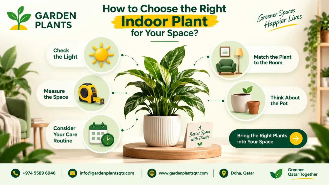 How to choose the right indoor plant for your space in Qatar, featuring Garden Plants Qatar logo, potted indoor plant, Buy Indoor Plants in Qatar Online, light requirement, space measurement, care routine, room matching, and pot selection icons with premium green interior design and contact details.