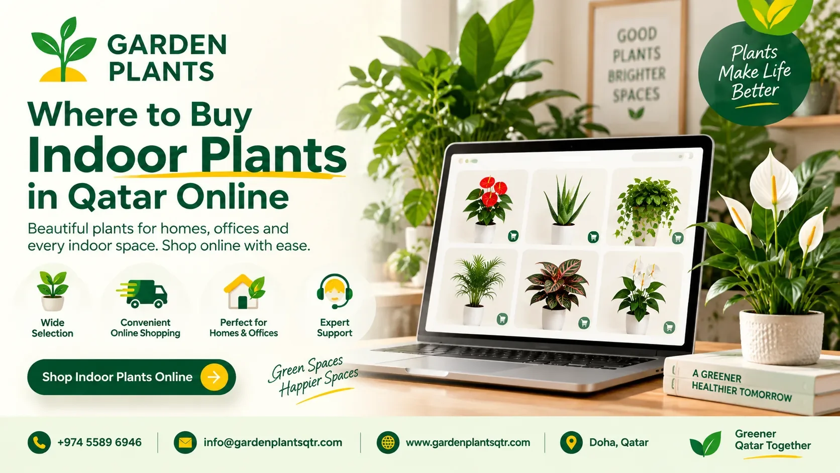 Where to Buy Indoor Plants in Qatar Online