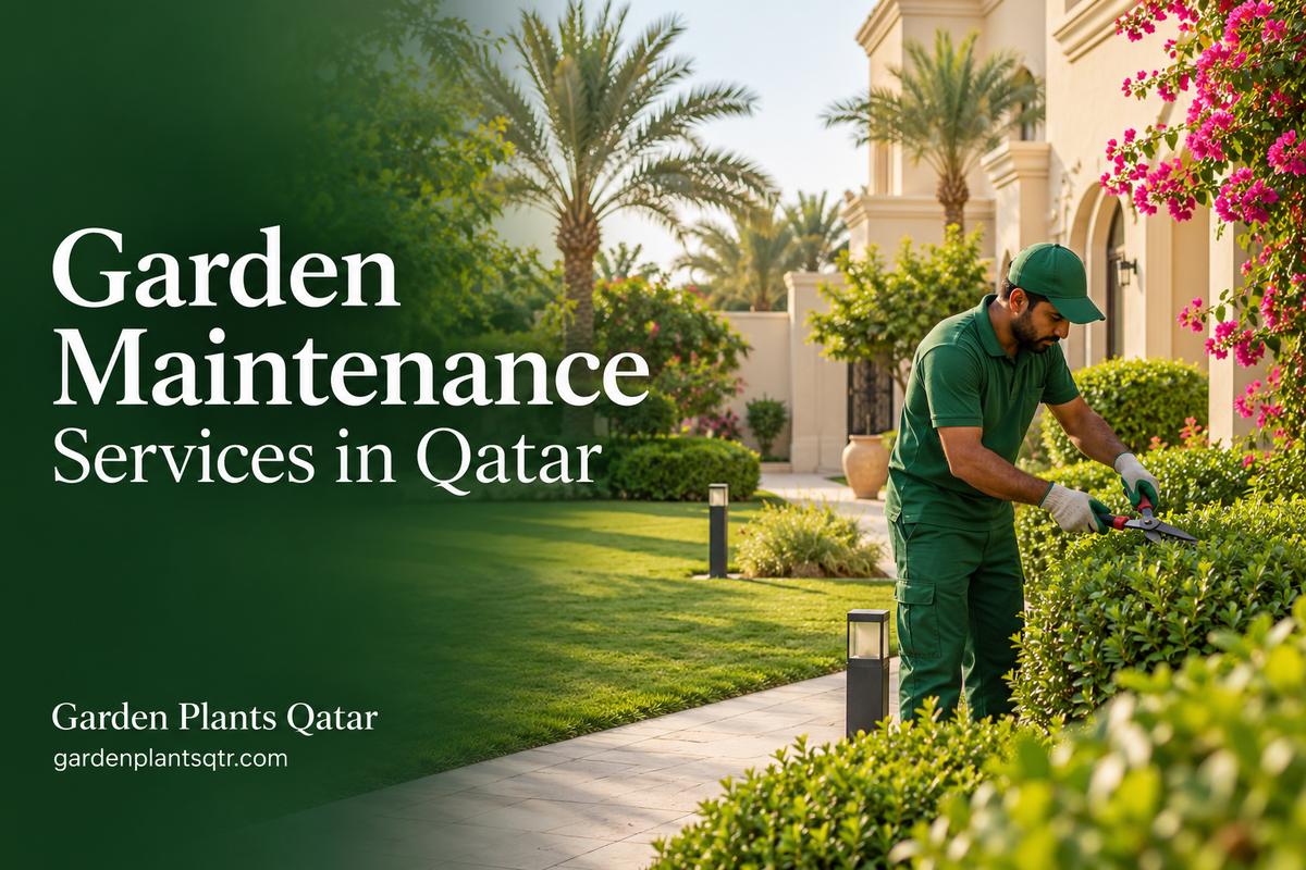Garden Maintenance Qatar | Garden Plants Qatar